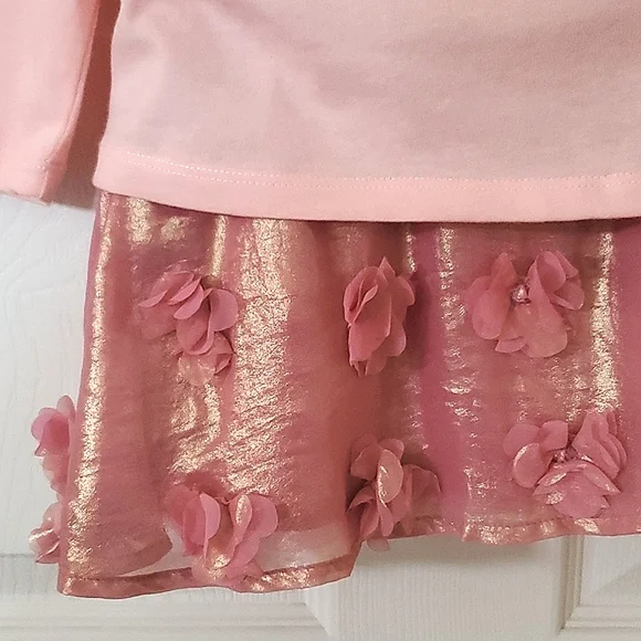 NWT New Baby Gap Girls Two Piece Set 18-24M Long Sleeve Top and 2 Years Skirt - Picture 6 of 8